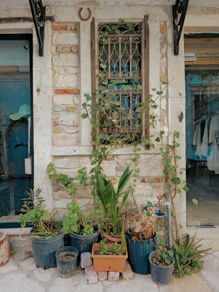 gallery-02 Rustic stone wall with decorative window and potted plants, exuding charm and greenery.
